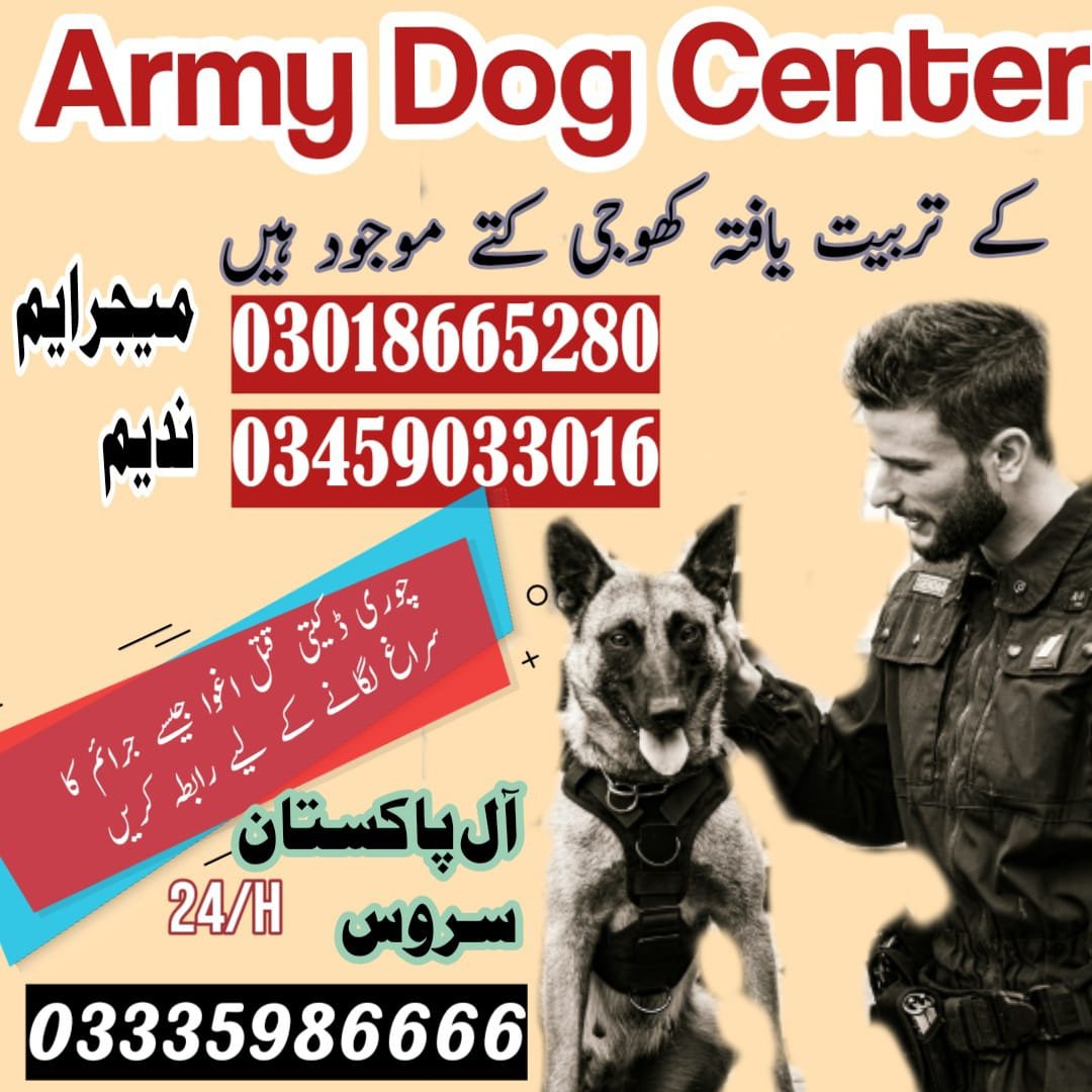 Army Dog Center Taxila 03459033016 | Sniffers Dogs