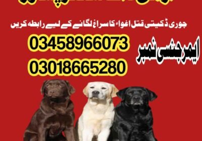 WhatsApp-Image-2024-06-10-at-21.56.43_1eefffb5