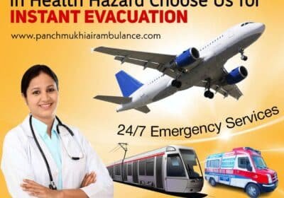 imgpsh_fullsize_anim-1-Copy-1