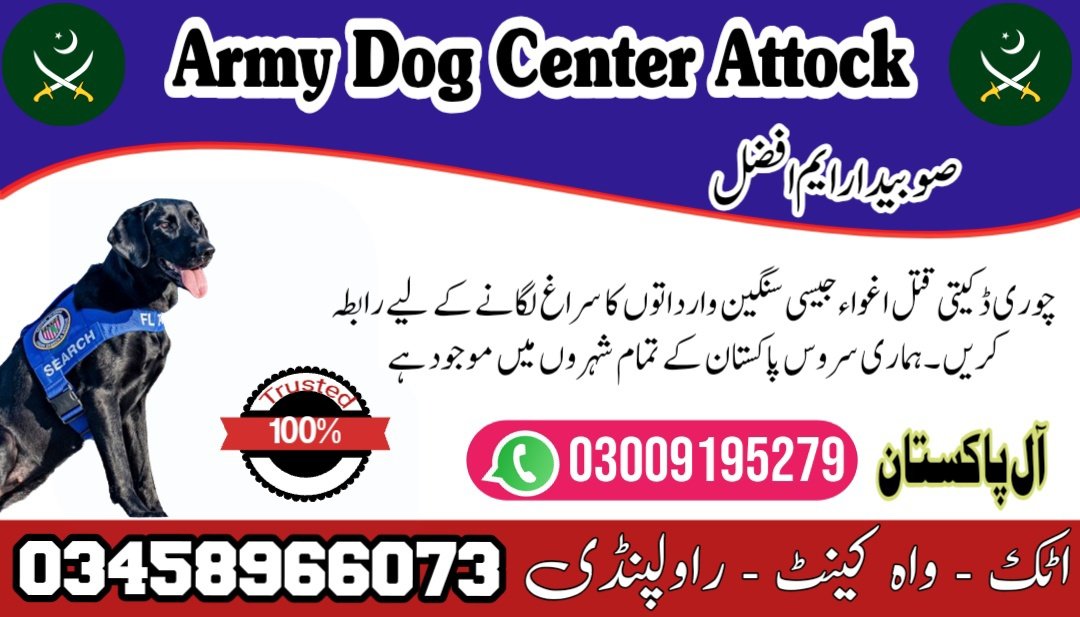 Army Dog Center Attock 03458966073 | کھوجی کتے