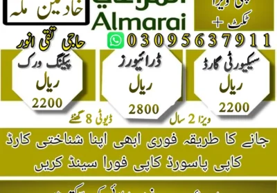 470970583-800×600-1