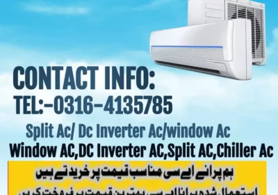 474731353-800×600-1