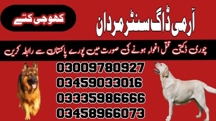 Army dog center Mardan 03018665280 | کھوجی کتے