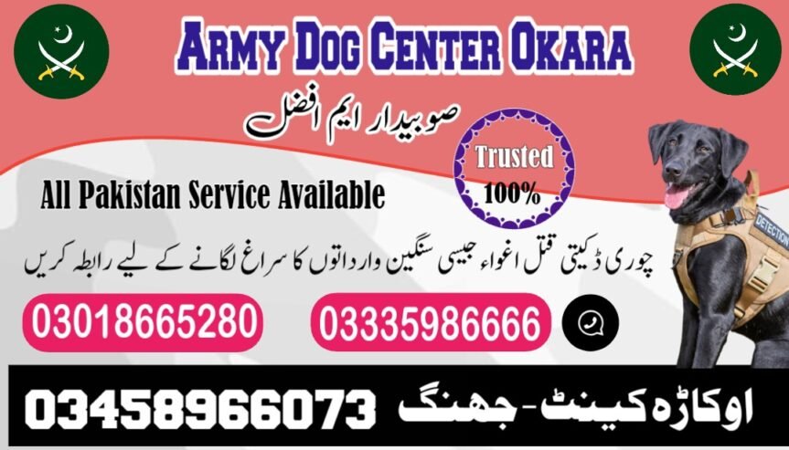 Army Dog Center Okara | 03018665280 | Khoji Dog In Okara