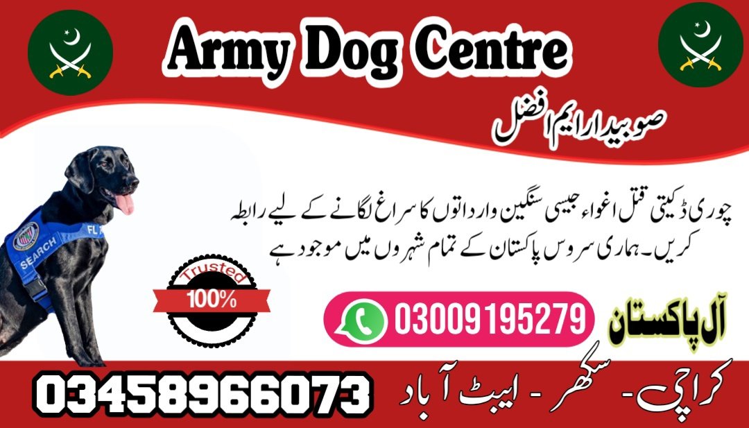 Army Dog Center Hyderabad | 03018665280 (کھوجی کتے)
