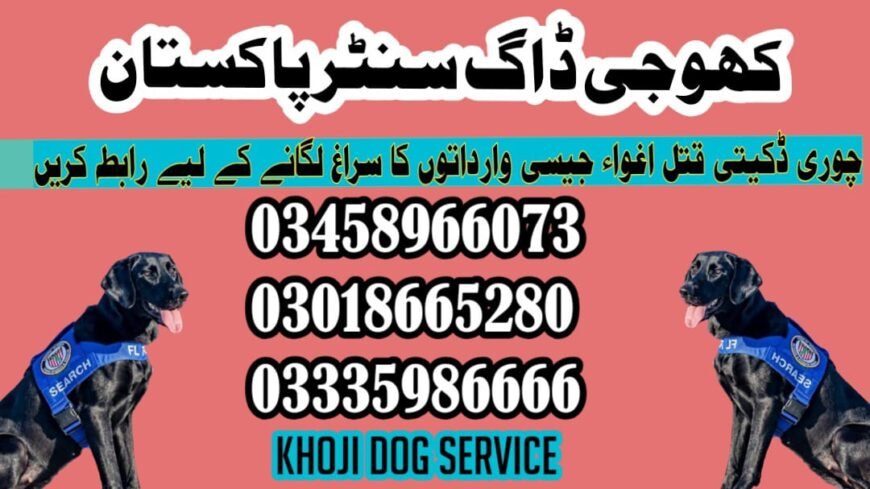 Army Dog Center Vehari 03009195279 | کھوجی کتے