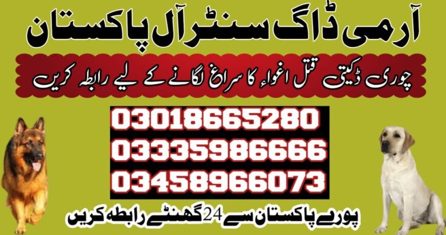 Army Dog Center Vehari 03009195279 | کھوجی کتے