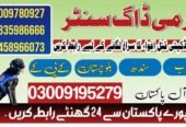 Army Dog Center Khushab 03018665280 | کھوجی کتے