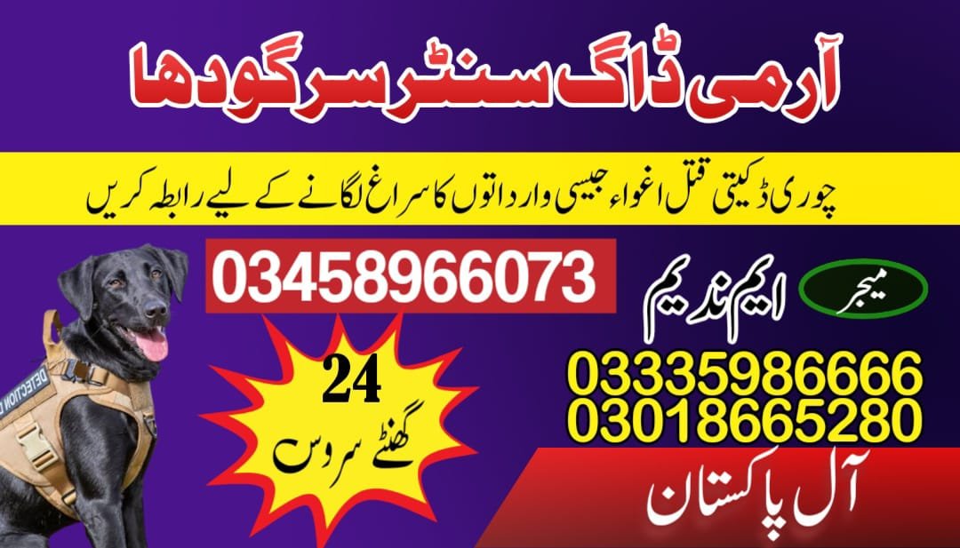Army Dog Center Khushab 03018665280 | کھوجی کتے