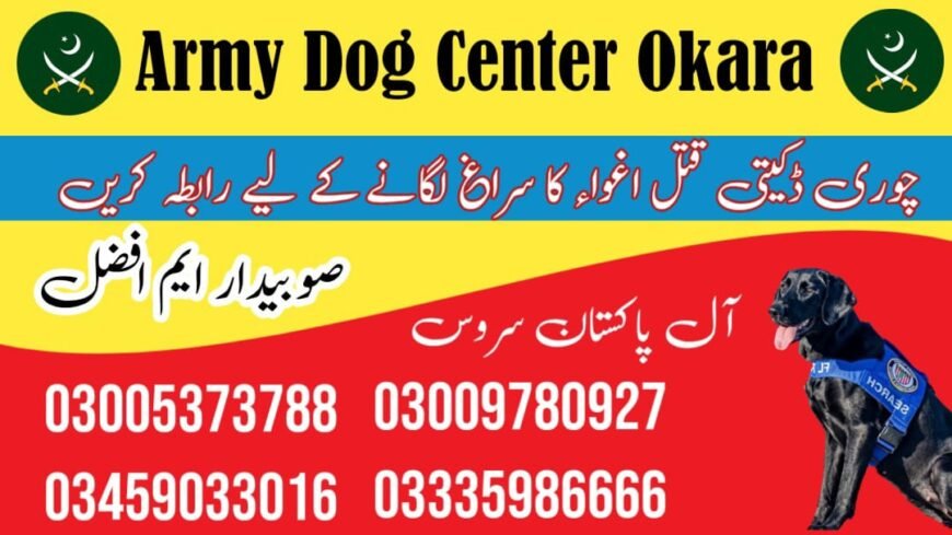 Army Dog Center Vehari 03009195279 | کھوجی کتے