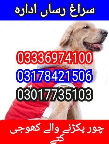 Army dog center kpk 03336974100