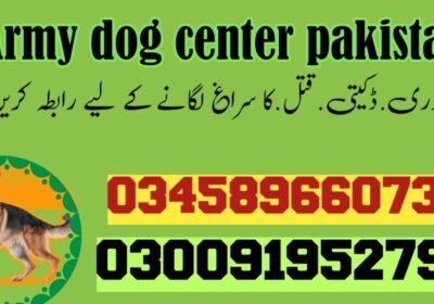 448547918_430321183163788_6661874108586660901_n