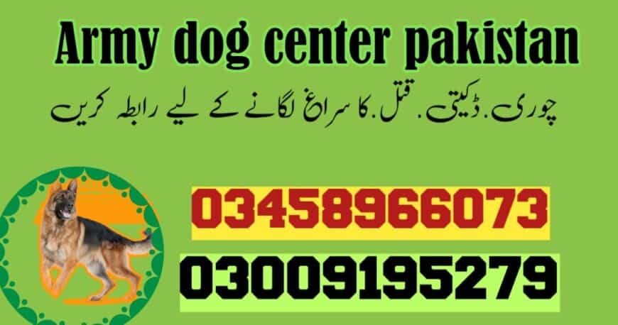 Army Dog Center Sargodha 03005373788 | کھوجی ڈاگ