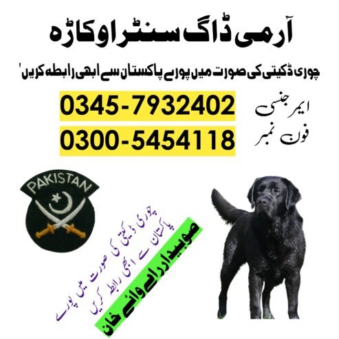 Army Dog Center Chiniot 03005454118