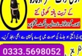 Army Dog Center Murree 03335698052