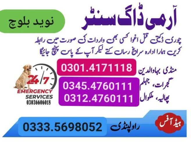 Army Dog Center Murree 03335698052