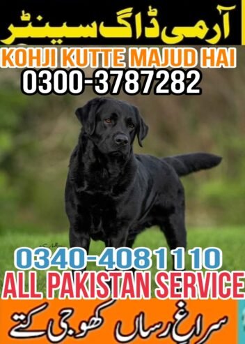 Army Dog Center Okara 0340-4081110