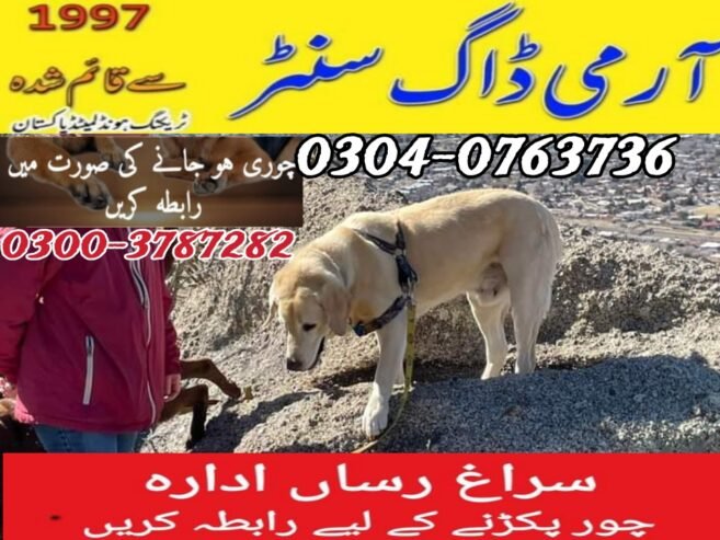 Army Dog Center Okara 0340-4081110