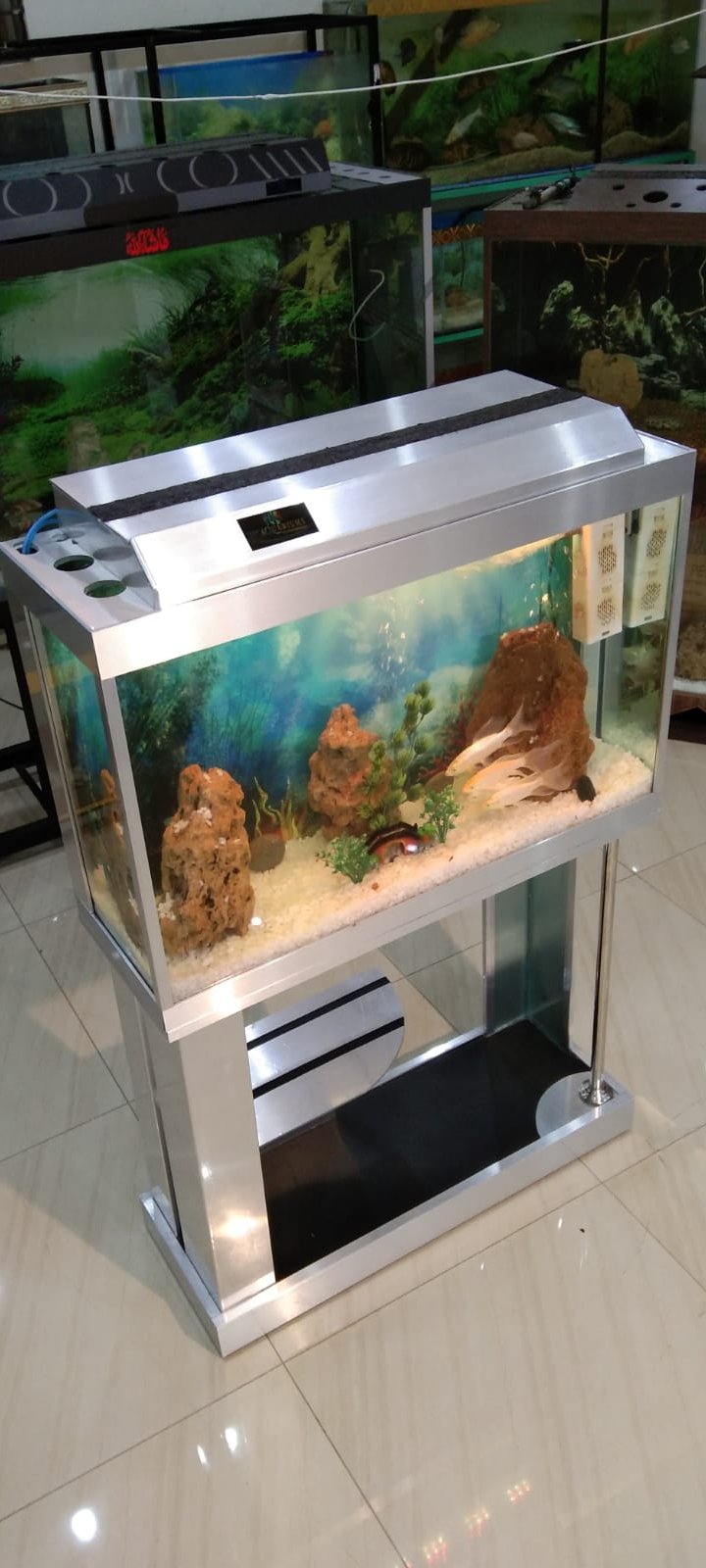 Silver transformers aquarium