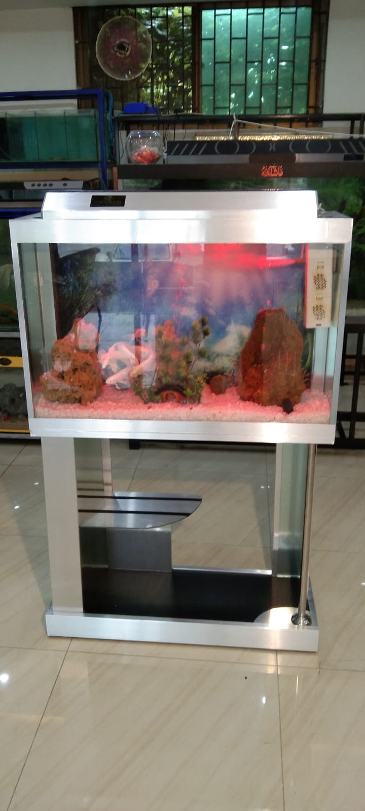 Silver transformers aquarium