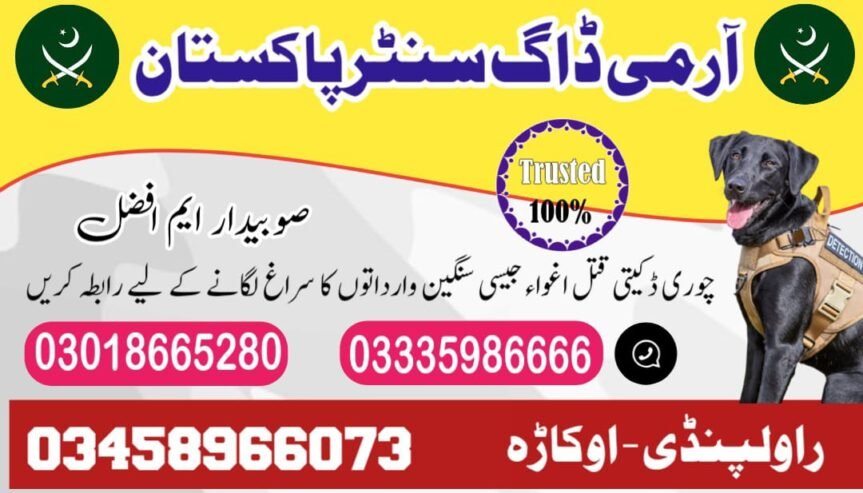 Army Dog Center Sahiwal 03018665280 | (Khoji kuttay)