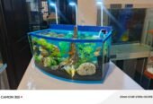 Blue heaven aquarium