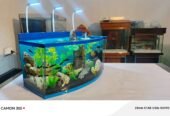 Blue heaven aquarium
