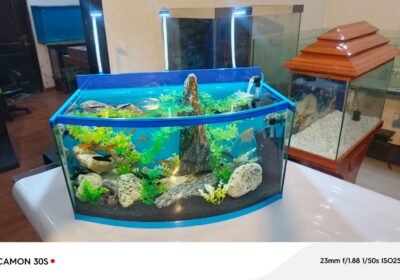 IMG-20241130-WA0007
