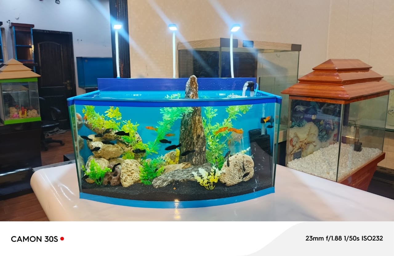 Blue heaven aquarium