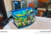 Blue heaven aquarium