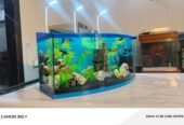 Blue heaven aquarium