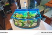 Blue heaven aquarium