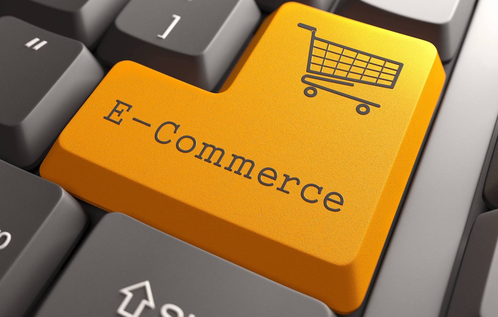 Ecommerce Expert course in CCPD sialkot, best courses