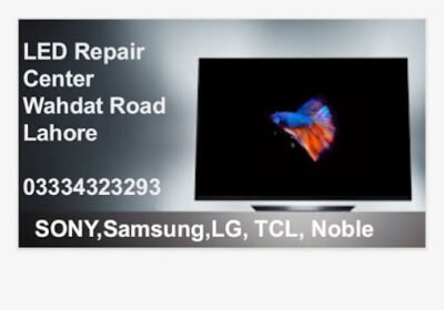 49829621_389392235161224_6419957298327715840_n