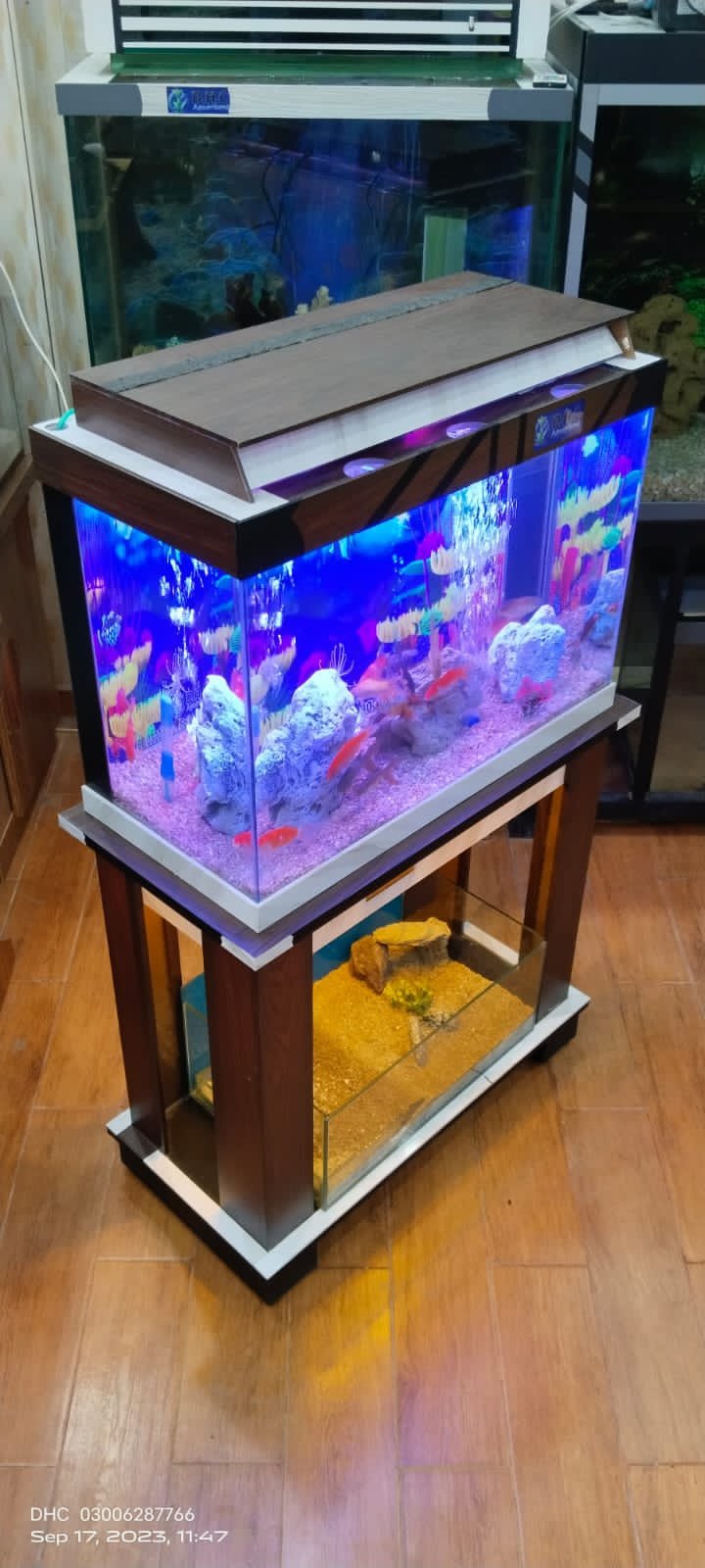 Aquarium+vivarium