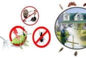 Fumigation & Pest Control Services