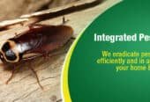 Fumigation & Pest Control Services