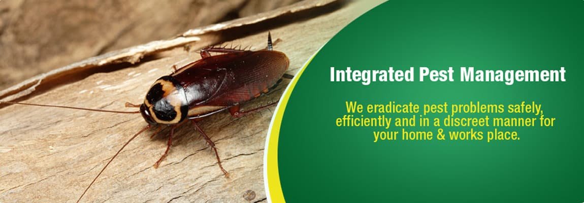 Fumigation & Pest Control Services