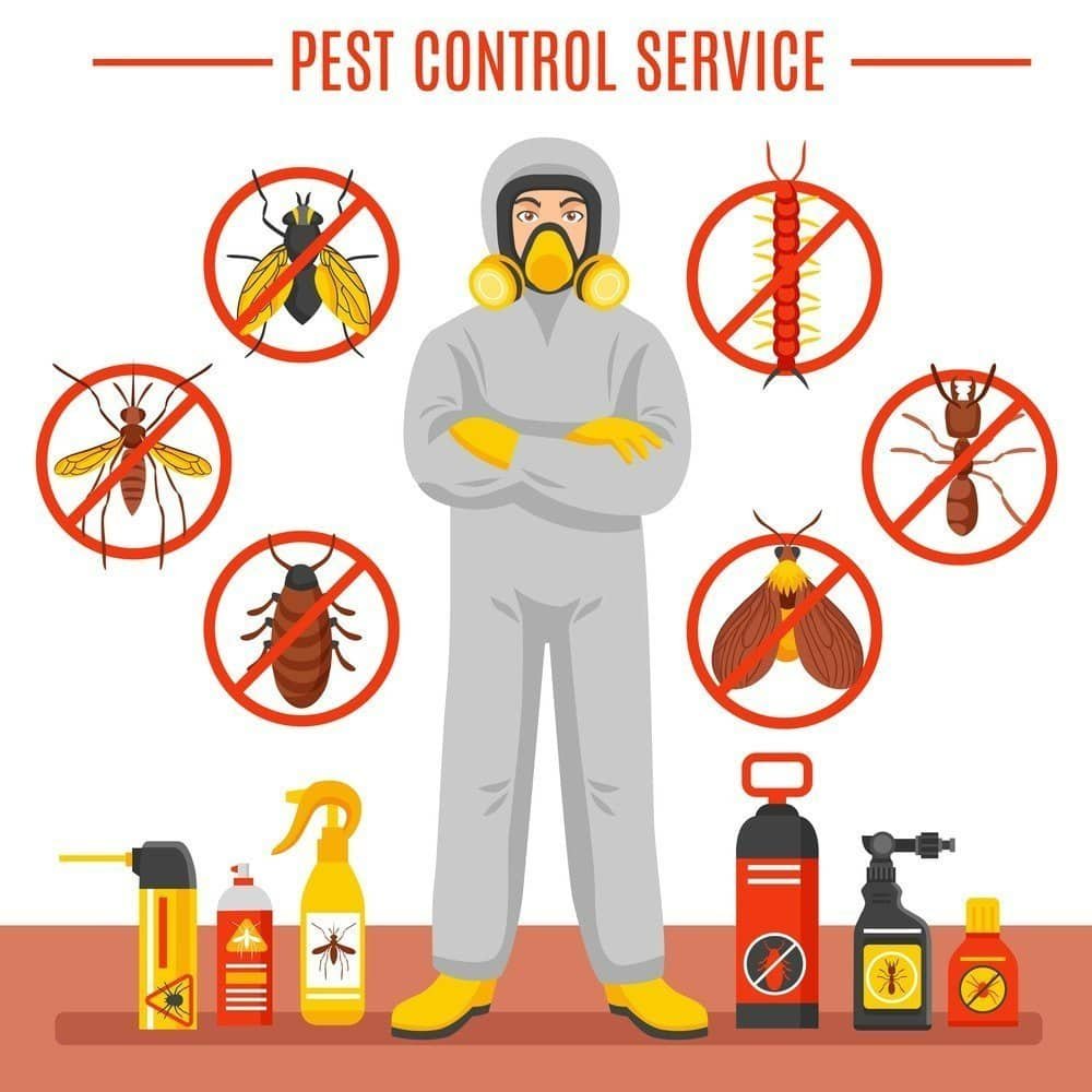 Fumigation & Pest Control Services