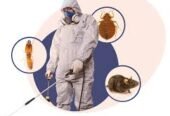 Fumigation & Pest Control Services