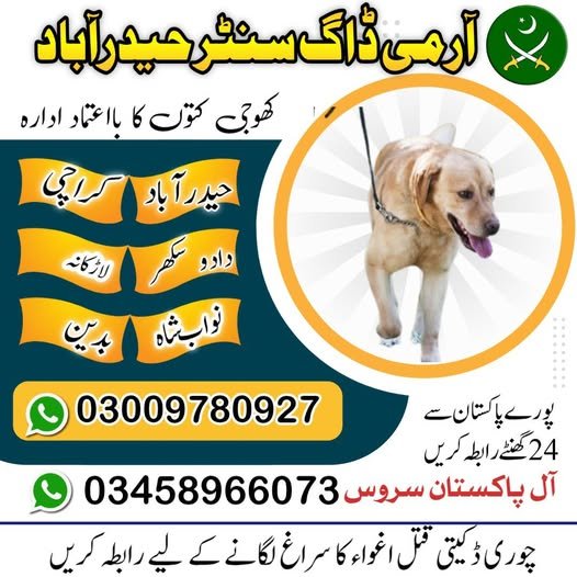 Army Dog Center Hyderabad 03018665280 | کھوجی کتے
