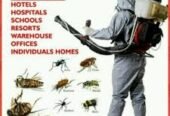 Fumigation & Pest Control Services