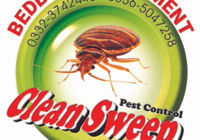 BEDBUGS-TREATMENT