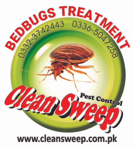 Bedbugs treatment service in Islamabad