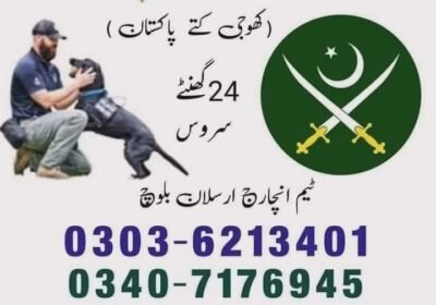 IMG-20241217-WA00002-1