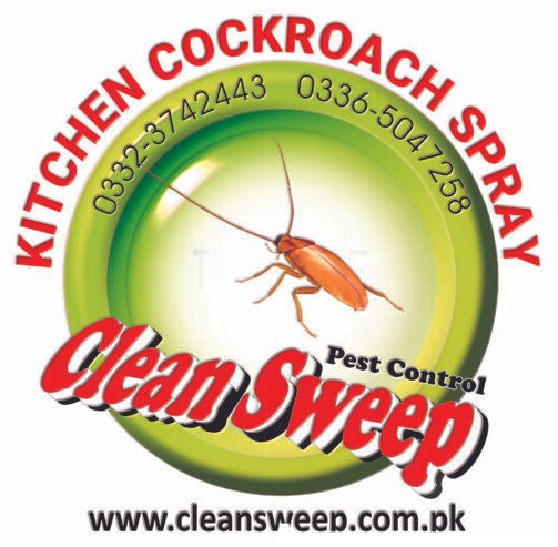 Cockroach spray service in Islamabad