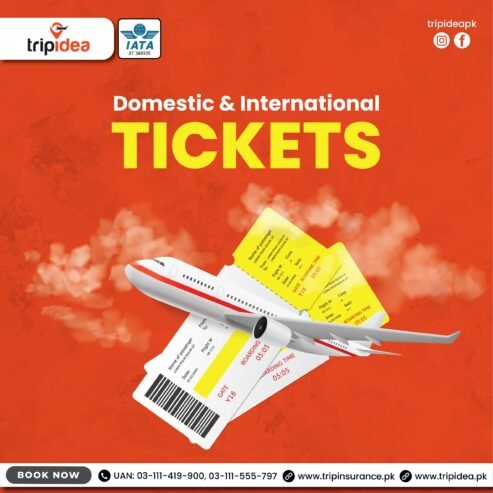 DOMESTIC AND INTERNATIONAL AIR TICKETS AND VISA SERVICES