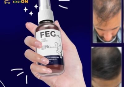 feg-10