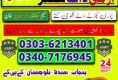 Army Dog Center Sindh 03036213401 | Khoji Dog In Sindh