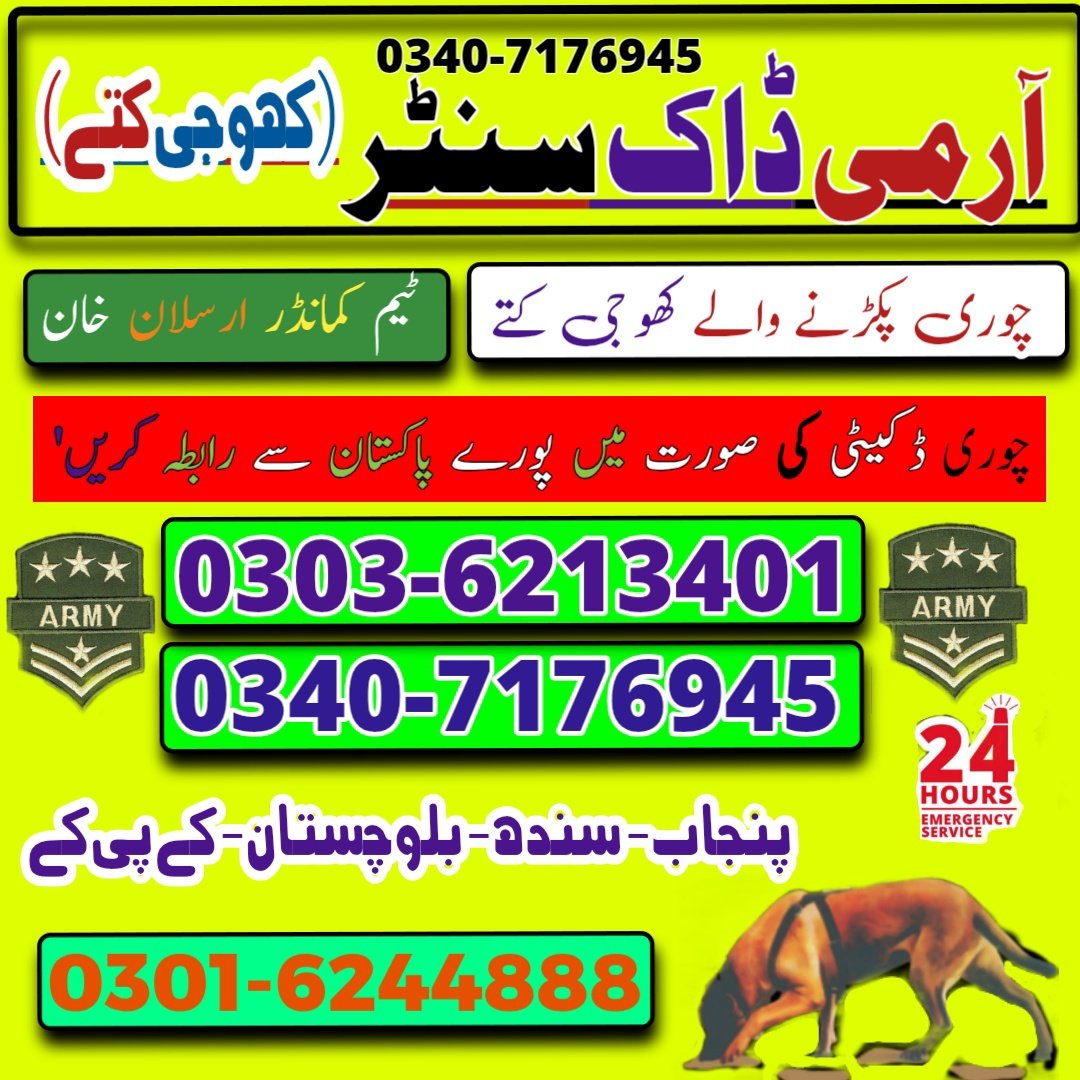 Army Dog Center Sindh 03036213401 | Khoji Dog In Sindh